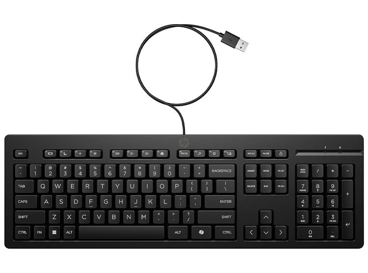 TECLADO HP 125 G2 USB WD AY2Y7AA